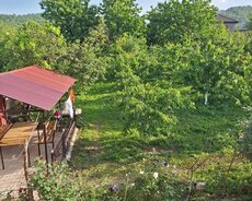 Quba, Gunluk kiraye verilir ancaq ailelere