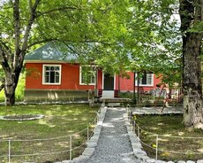 Qəbələ, Qəbələ/vəndam, 2 Otaqlı Həyət Evi, Günlük Kirayə