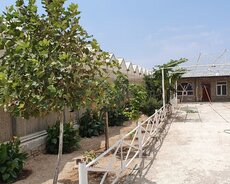 Abşeron r., Türkan q.