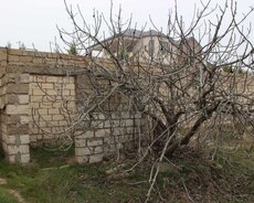 Xəzər r., Buzovna q.