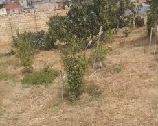 Abşeron r., Mehdiabad q.