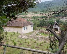 Lənkəran, Lənkəranda torpaq satılır. Kupçası var