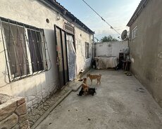 Sabunçu r., Zabrat q.
