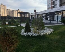 Nərimanov r., Ulduz m.