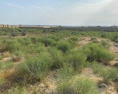 Sabunçu r., Maştağa q.