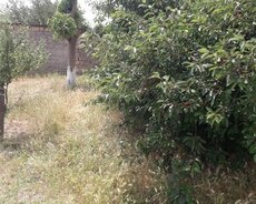 Abşeron r., Mehdiabad q.