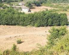 Lənkəran, Satılan torpaqlar/kupçalı/Lənkəranda/saılır