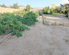 Sabunçu r., Maştağa q.