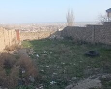 Suraxanı r., Zığ q.