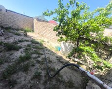 Sabunçu r., Maştağa q.