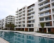 Sabunçu r., Nardaran q.