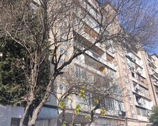 Binəqədi r., 9-cu mikrorayon q.