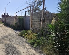 Suraxanı r., Bahar
