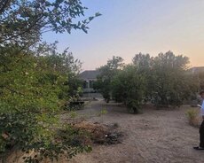 Sabunçu r., Nardaran q.