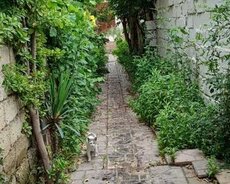 Sabunçu r., Zabrat q.