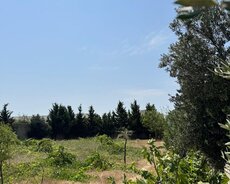 Sabunçu r., Bilgəh q.