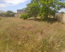 Abşeron r., Novxanı q.