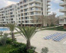 Sabunçu r., Nardaran q.