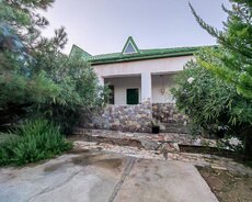 Sabunçu r., Maştağa q.
