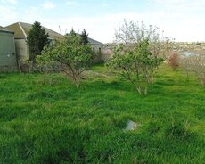 Abşeron r., Digah q.