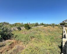 Sabunçu r., Nardaran q.