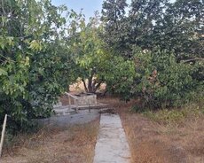 Sabunçu r., Nardaran q.