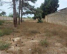 Sabunçu r., Maştağa q.