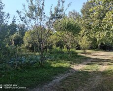 Oğuz, Torpaq satılır Mulkiyyətçi