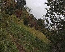 Qusar, həyətyanı torpaqdan 6 sot satılır