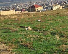 Binəqədi r., Sulutəpə q.
