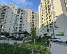 Yasamal r., Elmlər Akademiyası m.