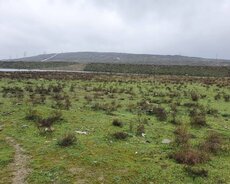 Abşeron r., Görədil q.