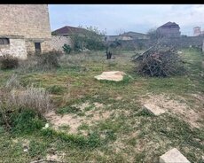 Sabunçu r., Maştağa q.