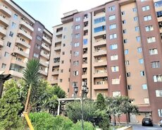 Yasamal r., Elmlər Akademiyası m.