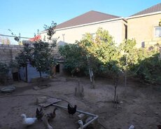 Sabunçu r., Maştağa q.