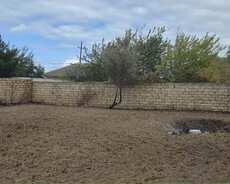 Sabunçu r., Nardaran q.