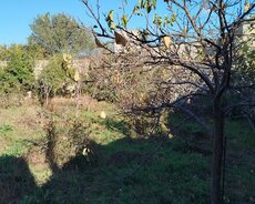 Sabunçu r., Maştağa q.