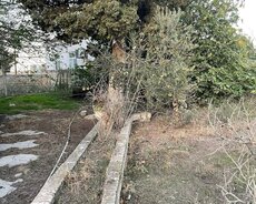 Sabunçu r., Nardaran q.