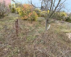 Abşeron r., Novxanı q.