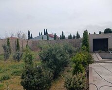 Xəzər r., Buzovna q.