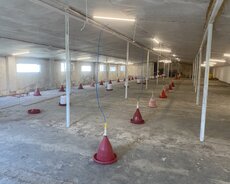 Salyan, Hazır biznes ferma