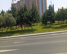 Nizami r., Neftçilər m.