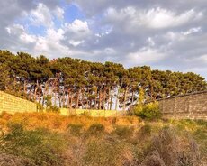 Abşeron r., Görədil q.