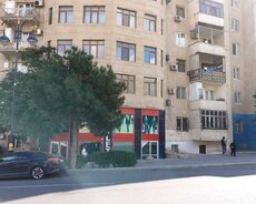 Yasamal r., Elmlər Akademiyası m.