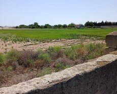 Xəzər r., Buzovna q.