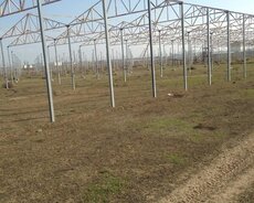 Abşeron r., Novxanı q.