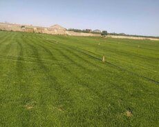 Qaradağ r., Səngəçal q.