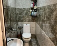 Sumqayıt, vatsap zeng