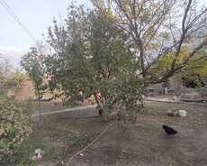 Xırdalan, Torpaq satilir