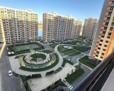 Yasamal r., Elmlər Akademiyası m.